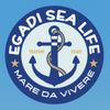 Egadi Sea Life
